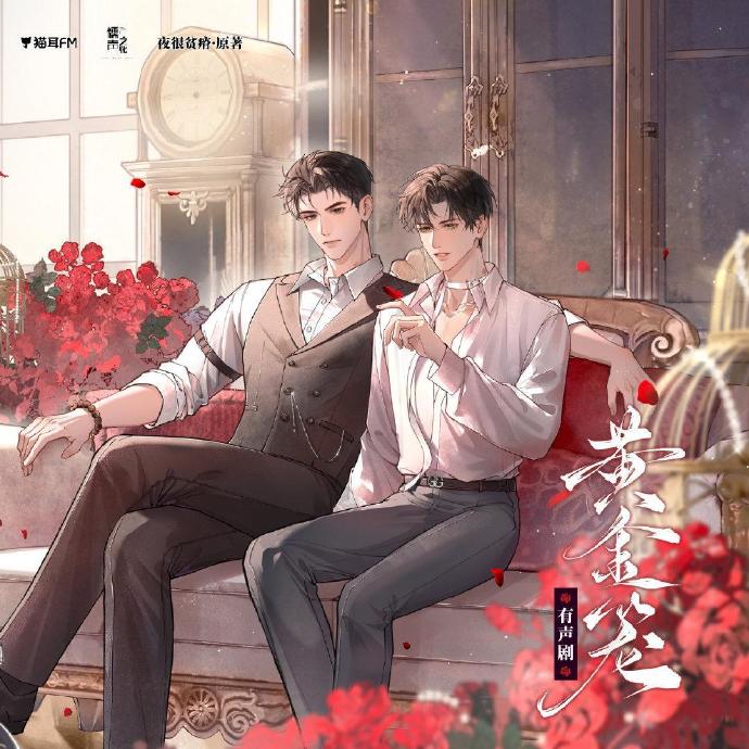 【有声剧】《黄金笼》全集 完结无删减 网盘下载