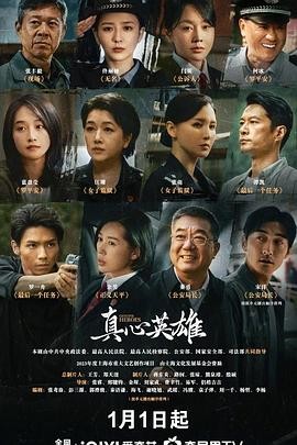 【剧集】《真心英雄》(2025)全集下载 | 邢键钧等执导 | 张丰毅佟丽娅主演 | 豆瓣评分:5.8-口袋盘资源站-网盘资源