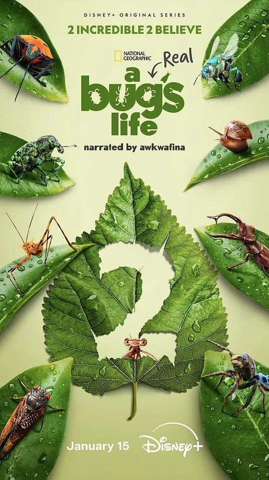 【动漫】虫虫历险记第二季 高分纪录片 2025|类型: 纪录片 / 冒险|又名: 虫虫危机(台) / 虫虫特工队(港) / 真实虫虫危机|夸克-口袋盘资源站-网盘资源