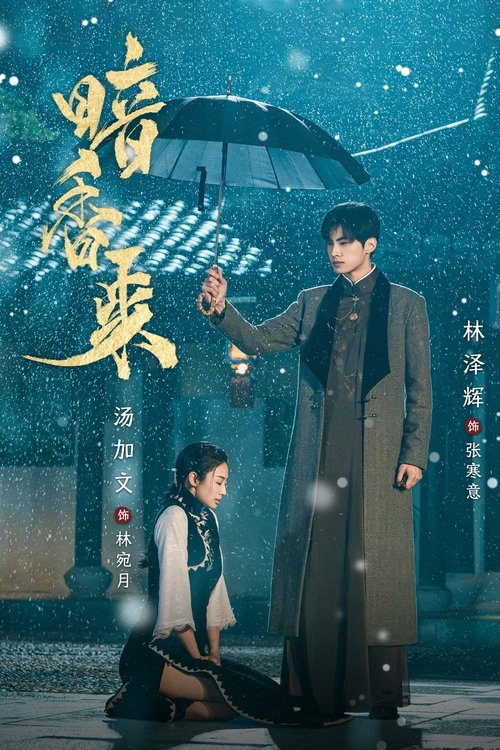 【国产剧】【 暗香来2025) 】4K全集已完结|他们携手与共一路过关斩将，与仇敌、与命运相争【暗香来】-口袋盘资源站-网盘资源