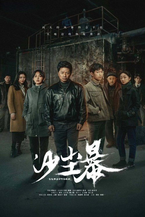 【国产剧】【 沙尘暴 (2025)】4K全集|段奕宏、王锵、张佳宁|一桩焚尸旧案被重查,基层民警陈江河也被紧急调回|【沙尘暴】 原名:沙尘暴-口袋盘资源站-网盘资源