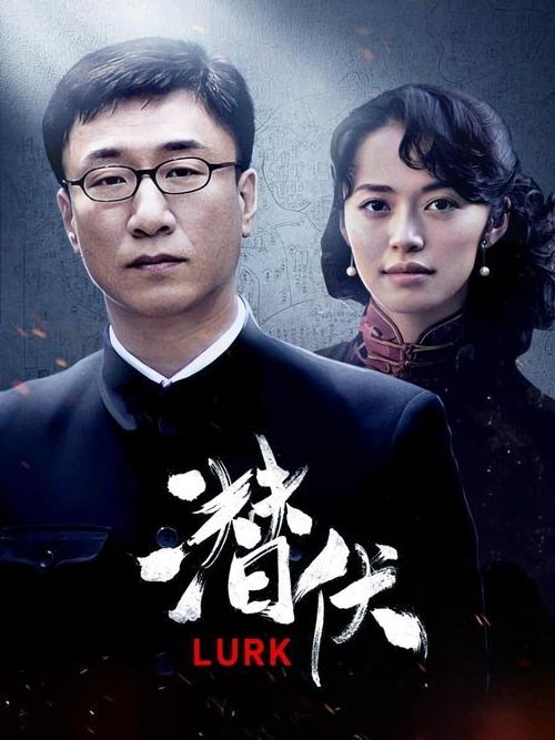 【国产剧】【 潜伏 (2008)】4K修复版 全30集 国语中字 收藏版|孙红雷、姚晨、沈傲君|二人从此分别,余则成继续执行潜伏任务【潜伏2008】潜伏1-口袋盘资源站-网盘资源