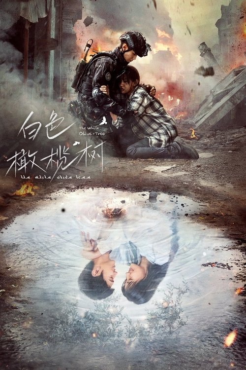 【国产剧】【白色橄榄树（2025）】4K全集已完结|陈哲远、梁洁、王天辰|相同的理想和契合的灵魂让两人慢慢擦出了爱的火花的故事【白色橄榄树】 原名：白色橄榄树-口袋盘资源站-网盘资源