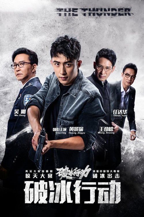 【国产剧】【破冰行动（2019）】4K高清已完结|任达华、吴刚、黄景瑜、王劲松|为“雷霆扫毒专项行动”的顺利展开扫清障碍【破冰行动】-口袋盘资源站-网盘资源