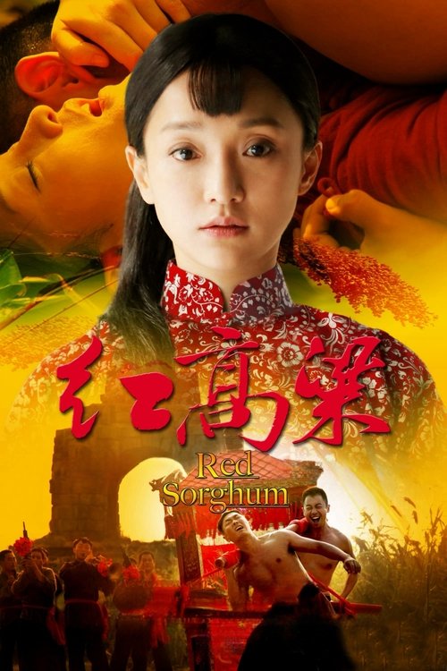 【国产剧】【红高粱 (2014) 】4K全集已完结|周迅、朱亚文、黄轩、于荣光、秦海璐|【红高粱】 原名：红高粱-口袋盘资源站-网盘资源