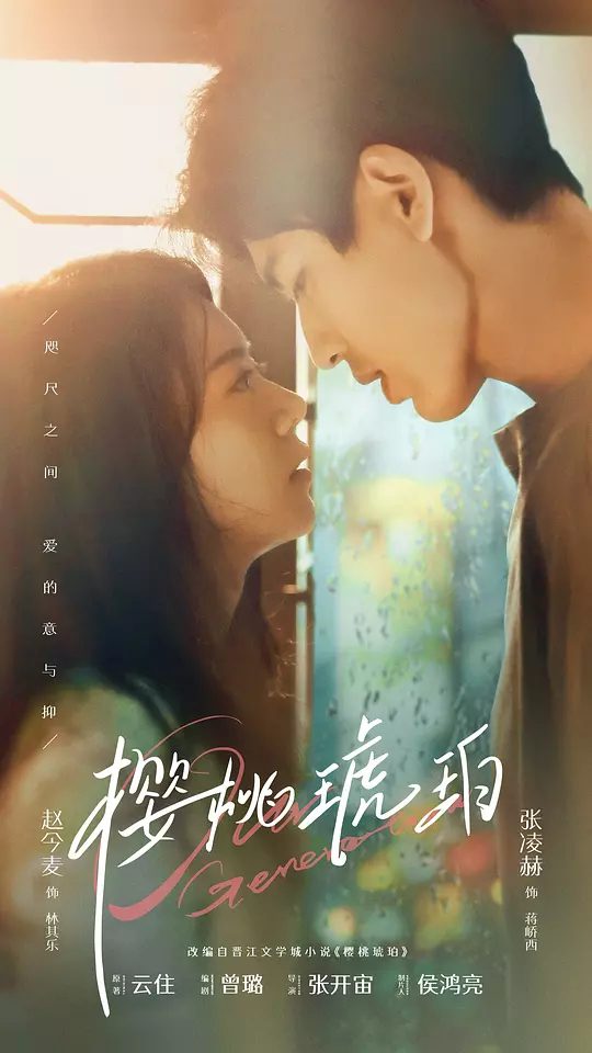 【国剧】樱桃琥珀 [2025][剧情 爱情 大陆] 主演: 赵今麦 / 张凌赫 / 董洁 / 保剑锋 / 董璇 | 又名: Our Generation / 樱桃琥珀-口袋盘资源站-网盘资源