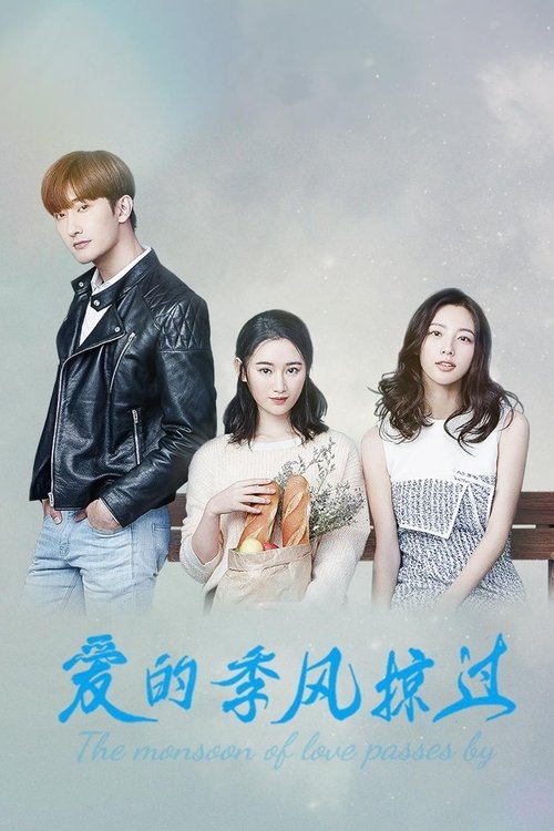 【新剧】【爱的季风掠过(2025)】同步更新|郭晓婷、陈米麒|故事围绕江家姐妹展开,情节跌宕起伏,充满了各种狗血桥段【爱的季风|掠过】-口袋盘资源站-网盘资源