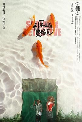【电影】《平原上的夏洛克》(2019)高清资源下载 | 徐磊执导 | 徐朝英主演 | 豆瓣评分:7.8-口袋盘资源站-网盘资源