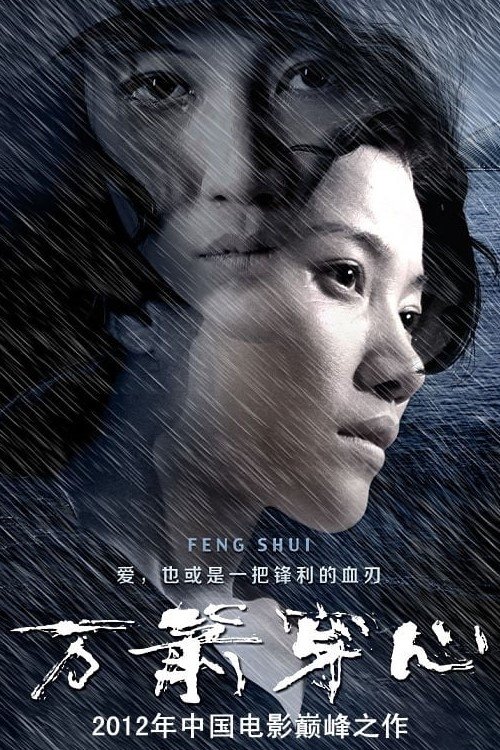 【电影】【万箭穿心(2012)】无删减完整版|颜丙燕、陈刚、焦刚、李现|个性倔强的李宝莉不愿妥协,决意撑起这个家|万箭穿心-口袋盘资源站-网盘资源
