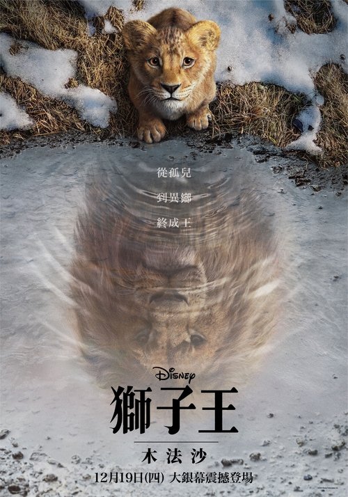 【电影】【真狮版】《狮子王：木法沙传奇》（2024）4K高清无删减|荣耀大地上最伟大的国王之一的崛起之路【狮子王：木法沙传奇】原名：狮子王-口袋盘资源站-网盘资源