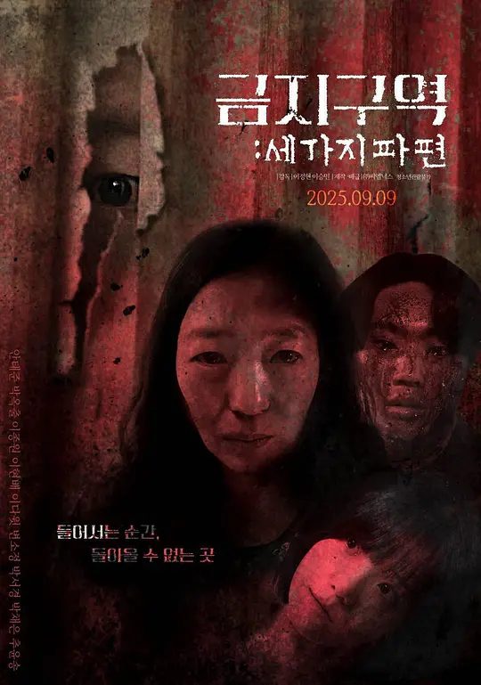 【电影】禁区：三个碎片 금지구역: 세 가지 파편 (2025)4K|【韩语中字】【流媒体正式版】【分段式恐怖片，由三个恐怖故事组成！】|夸克-口袋盘资源站-网盘资源