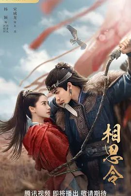 【电视剧】【相思令（2025）】4K HDR|全集已完结|主演：杨颖、宋威龙、任豪、白冰可、姚驰|原名：相思令|未删减-口袋盘资源站-网盘资源