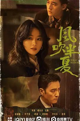 【电视剧】【风吹半夏 (2022)】4K 全集已完结|主演:赵丽颖、黄澄澄、欧豪、李光洁、刘威|【风吹半夏】 原名:风吹半夏|夸克无删减版-口袋盘资源站-网盘资源