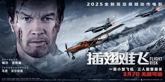 【电视剧】插翅难飞 Flight Risk (2025)4K高清|内有杀手潜伏,外有空中险情,谁能逃出这班灭口杀“机”?又名: 高空杀机|插翅难飞|夸克网盘资源-口袋盘资源站-网盘资源