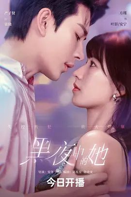 【短剧】黑夜中的她 (2025)4K高清|方瑾 / 严子贤 / 蒲雨童|最终迫使她在虚假的平静与危险的真相间做出抉择。黑夜中的她|夸克网盘资源-口袋盘资源站-网盘资源