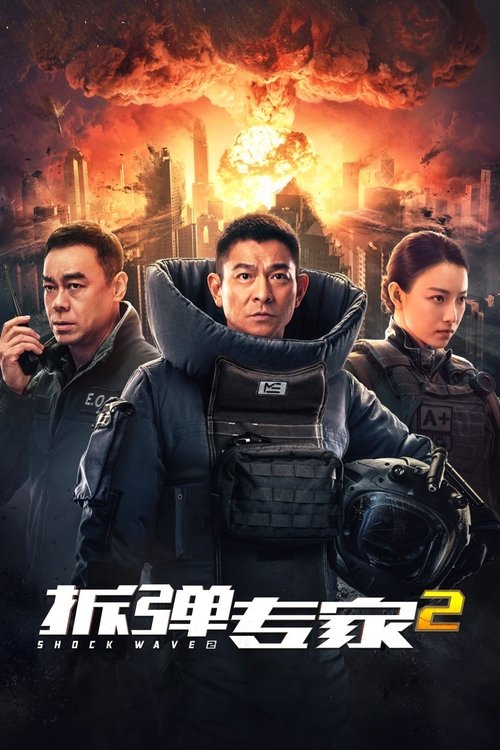 【香港电影】【拆弹专家2(2020)】4K高清|刘德华、刘青云|有计划的爆炸案接二连三发生,真相却越来越扑朔迷离【拆弹专家】 原名:拆彈專家2-口袋盘资源站-网盘资源