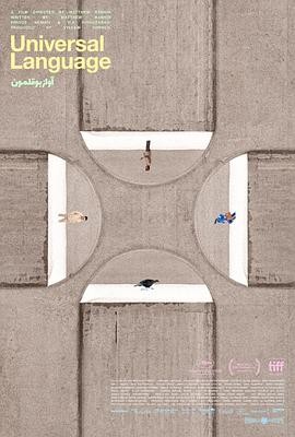 共同的语言2024|7.7分马修兰金|三线叙事荒诞喜剧|戛纳获奖佳作-口袋盘资源站-网盘资源