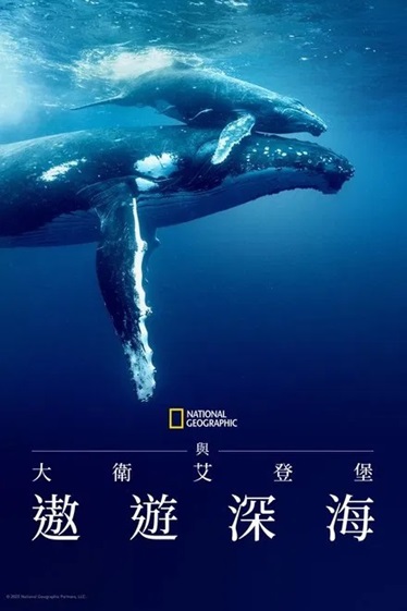 [纪录片] 大卫·爱登堡：海洋.2025.英语中英双字.1080P[2.98G]-口袋盘资源站-网盘资源