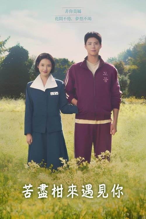 苦尽柑来遇见你 폭싹 속았수다 (2025)【已更最新】【4K高码】[李知恩 / 朴宝剑 / 文素利]又名: 辛苦了 / 您辛苦了-口袋盘资源站-网盘资源