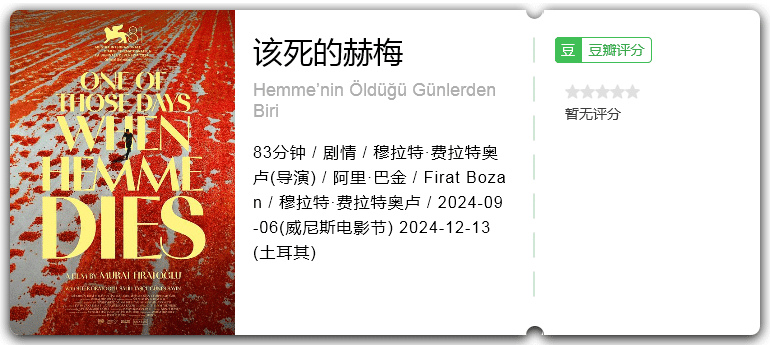 该死的赫梅 [2024][剧情 土耳其]-口袋盘资源站-网盘资源