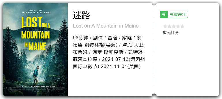 迷路 [2024][剧情 冒险 美国]-口袋盘资源站-网盘资源