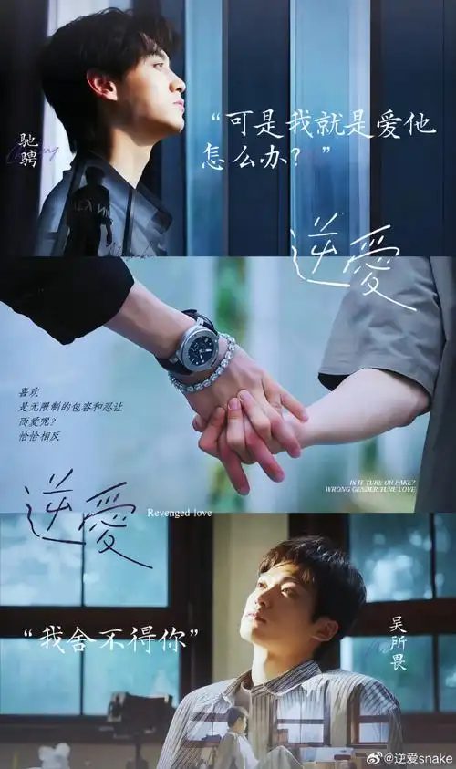 逆愛（2025）4K高清|已更最新|梓渝、田栩宁|改编自柴鸡蛋小说《逆袭》同性|逆爱在线|逆爱无删减（内附逆爱花絮+小说）夸克网盘免费-口袋盘资源站-网盘资源