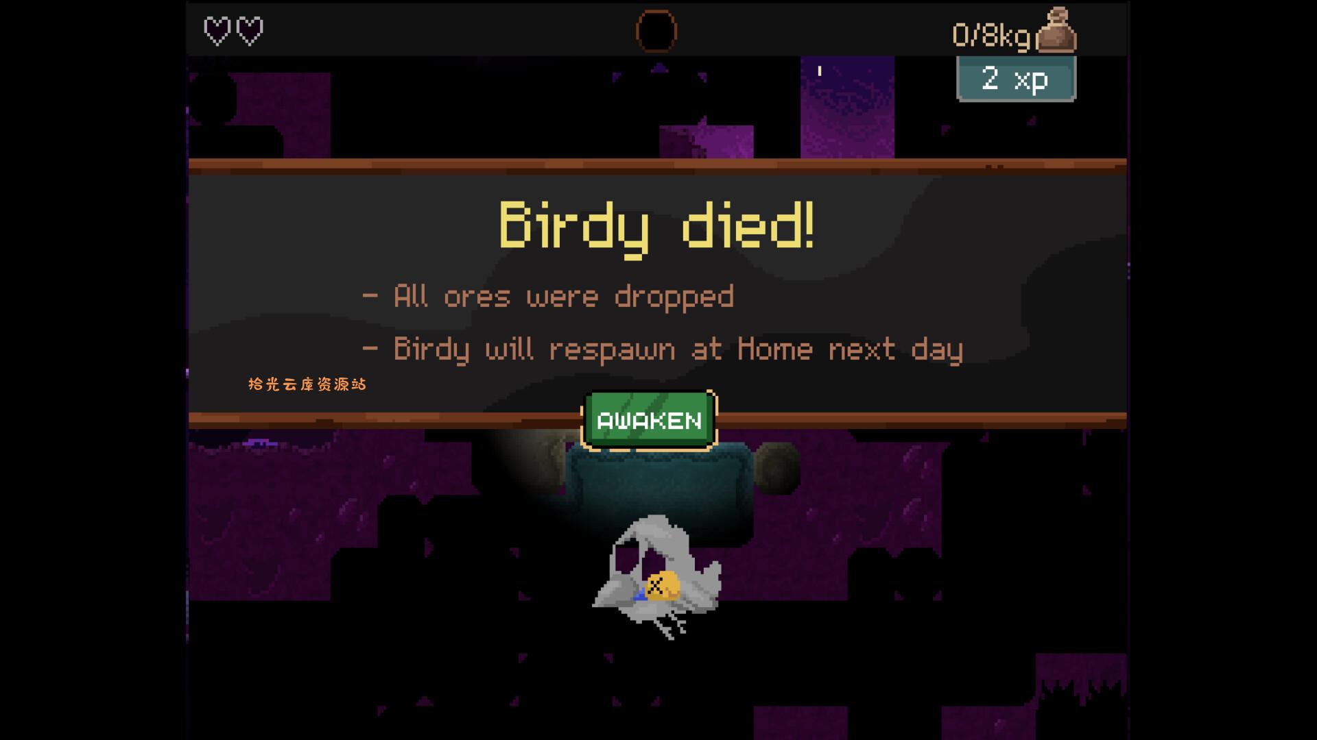 《钻头鸟/Drill Bird》PC中文版下载-含Build.20920706-口袋盘资源站-网盘资源